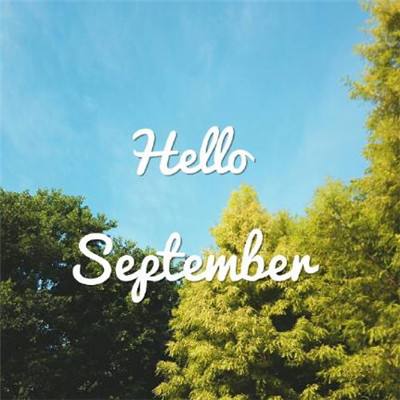 ky体育最新版下载地址