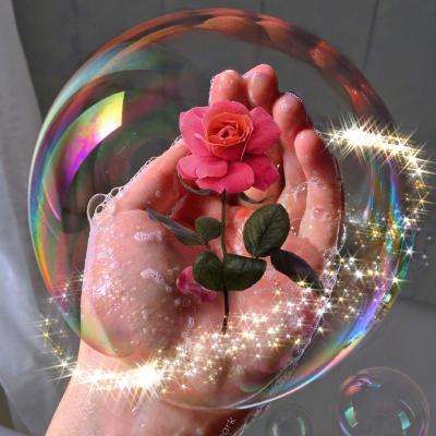 澳门金沙登入网